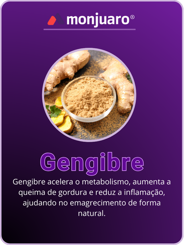 GENGIBRE-1.png