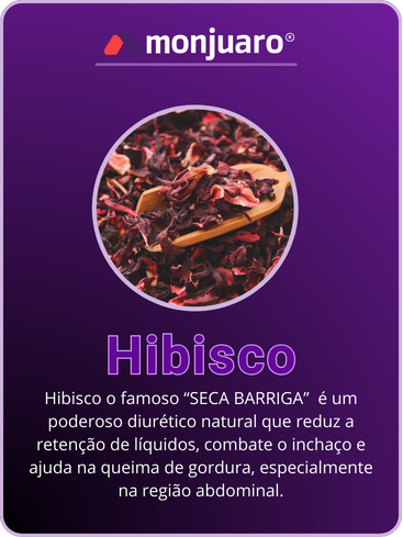 HIBISCO-1.png