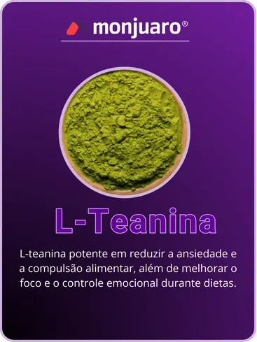 l-teamioma.webp